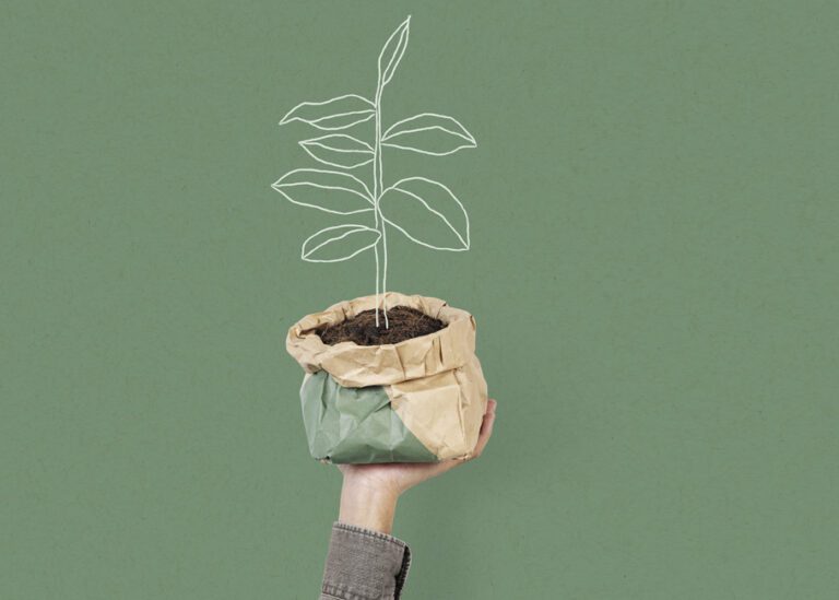 industria packaging sostenibilidad