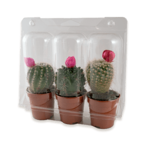 Blíster jardinería para plantas y cactus 100% reciclado